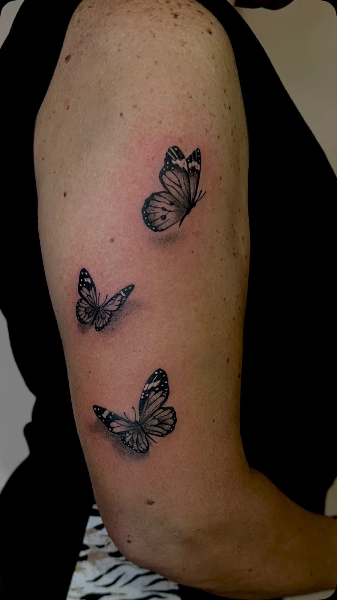 Tatuaggi a farfalla con dettagli di colore